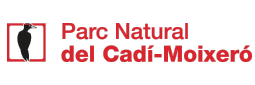 logo-cadi