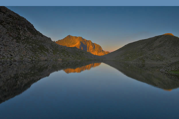 pallars-jussa